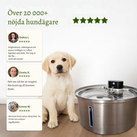 TrinkTig – Rinnande vatten som din hund vill dricka