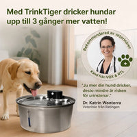 TrinkTig – Rinnande vatten som din hund vill dricka